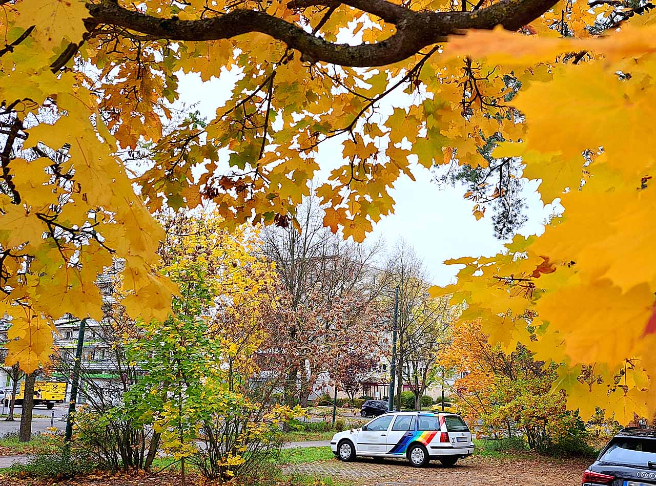 Foto: Jürgen Gramzow